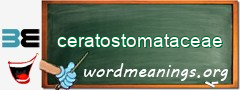 WordMeaning blackboard for ceratostomataceae